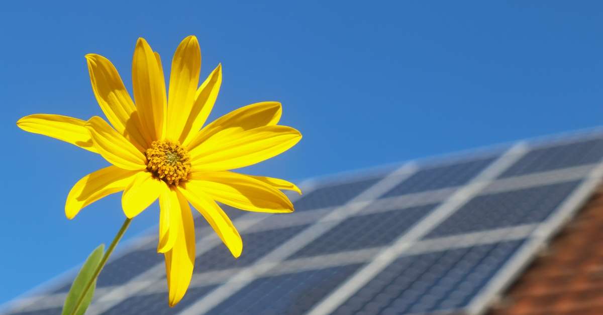 Sind Solarmodule es wert? Vor- und Nachteile von Solaranlagen